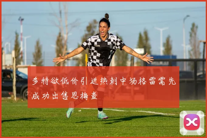 多特欲低价引进热刺中场格雷需先成功出售恩梅查