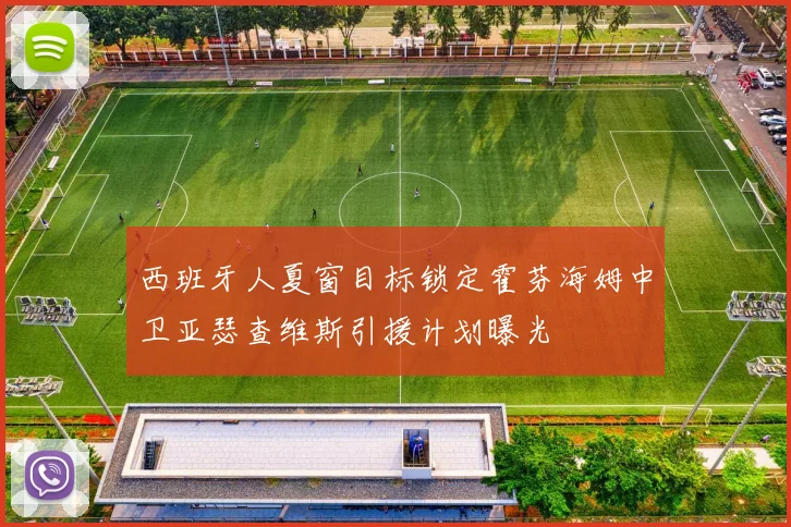 西班牙人夏窗目标锁定霍芬海姆中卫亚瑟查维斯引援计划曝光