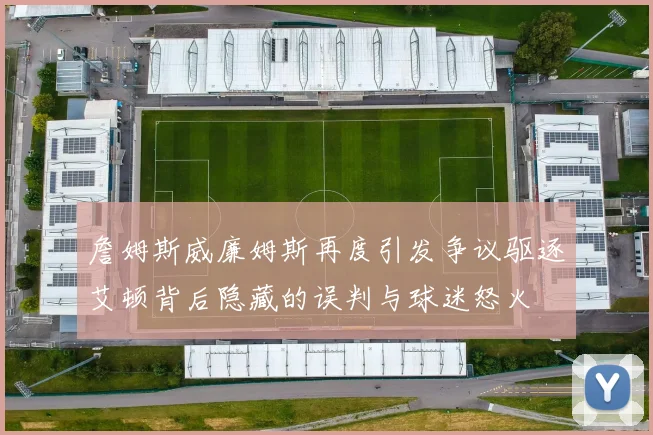 詹姆斯威廉姆斯再度引发争议驱逐艾顿背后隐藏的误判与球迷怒火